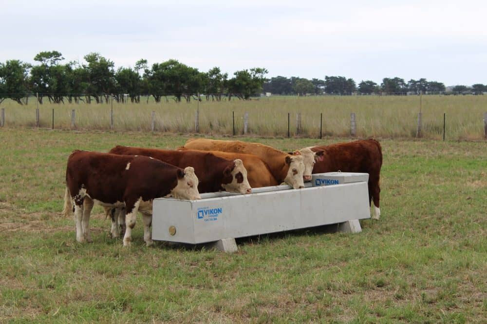 Rectangle Water Trough Vikon Precast Creating Solid Solutions